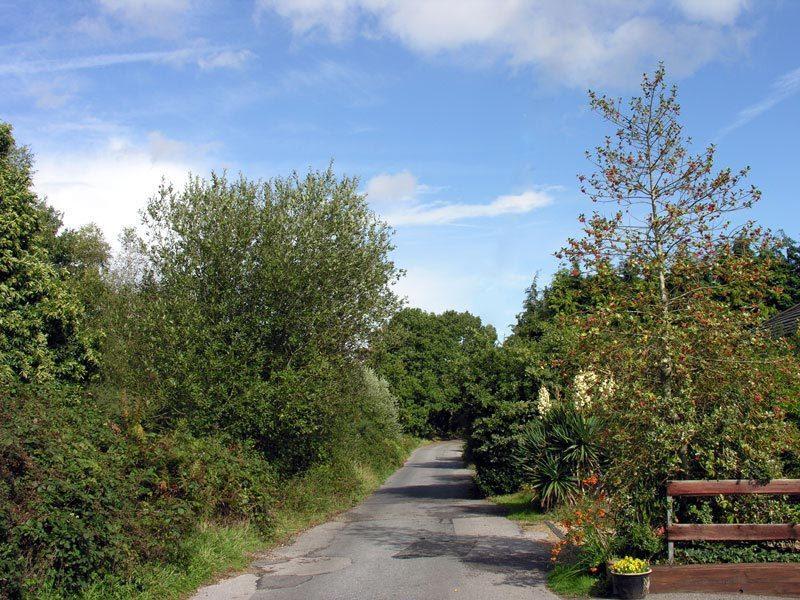 Abacus Bed And Breakfast, Blackwater, Hampshire Camberley Extérieur photo